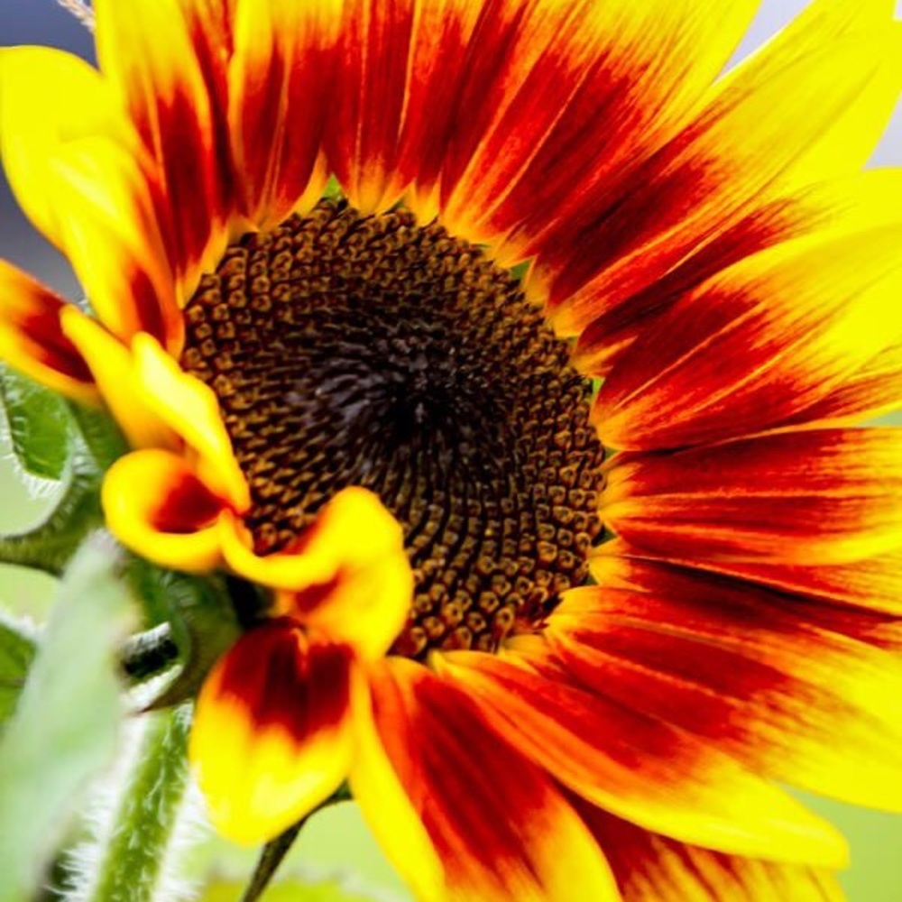 Meet your Posher, Haylee